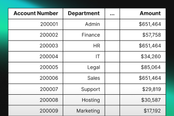 Profit and Loss Statement