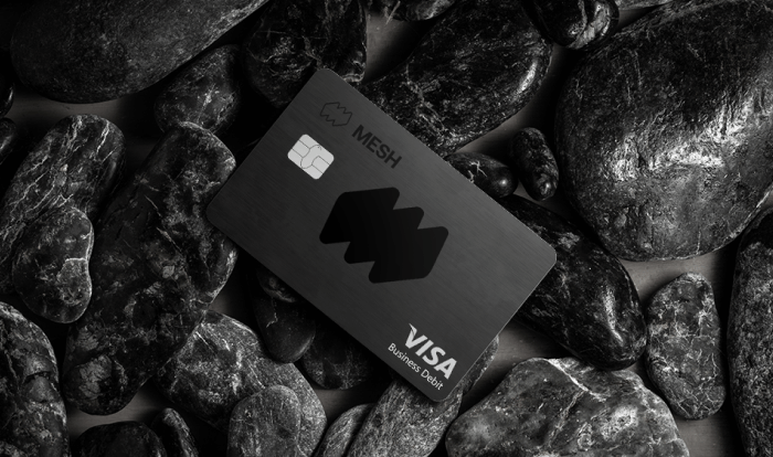 Plug and Pay VISA Corporate Card