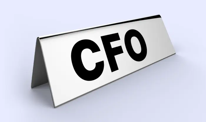 CFO Role - Duties and Responsibilities Explained